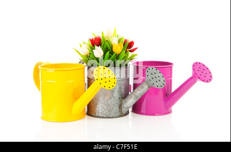 Three watering can with colorful tulips over white background Stock Photo