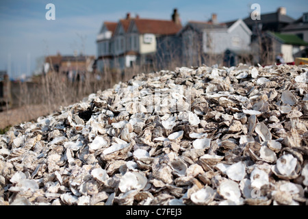 Pile of oyster shells on the beach in Whitstable, UK. Stock Photo