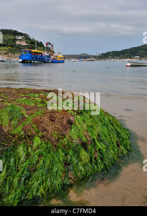 South Sands  Ferry  coupled to sea tractor  for ferry transfer at South Sands, Salcombe, Devon, England, UK Stock Photo