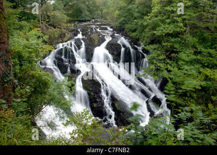 Swallow Falls near Betws y Coed in Snowdonia, north Wales Stock Photo