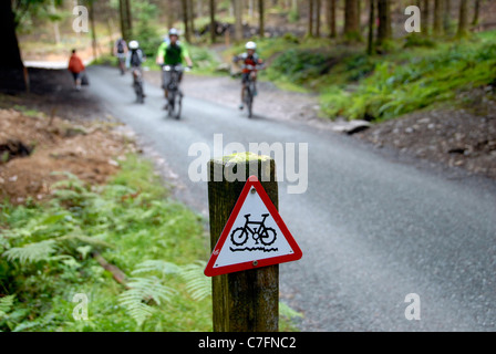 Mountain bikers on off road  trail at the coed y brenin mountain bike centre, snowdonia north wales Stock Photo
