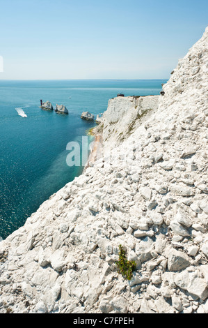 The Needles, lighthouse and chalk cliffs, Isle of Wight, UK Stock Photo