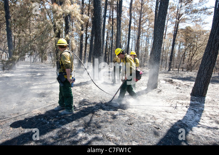 Firefighters monitor and put out small fires in Bastrop, Texas a week after massive wildfires swept through the area Stock Photo