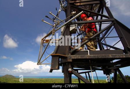 Scientists working on instrument platform of the JCU Canopy Crane Research Facility, Cape Tribulation, Daintree, Australia Stock Photo
