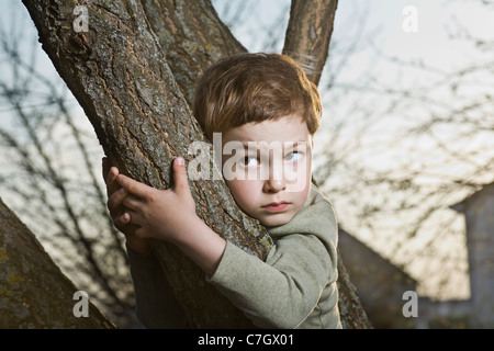 A young scared looking boy holding on to a tree branch Stock Photo