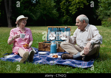 Senior couple enjoying picnic in the park Stock Photo