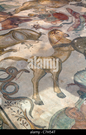 Part of Labours of Hercules mosaic in Triclinium, dining room, Villa Romana del Casale, Piazza Armerina, Sicily, Italy Stock Photo