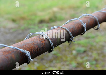 Barbed wire wrapped around farm gate Stock Photo