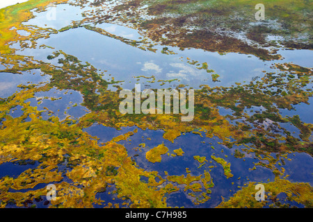 Aerial view of marsh lands of Cook Inlet between Anchorage and Lake Clark National Park, Alaska, United States of America Stock Photo