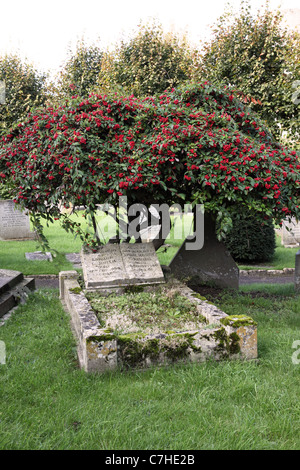 Graveyard at All Saints Church, Nunney, Somerset, England Stock Photo