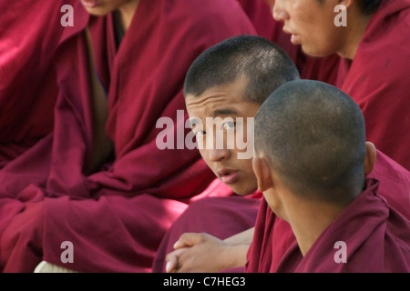 Sera monk in the crowd Stock Photo