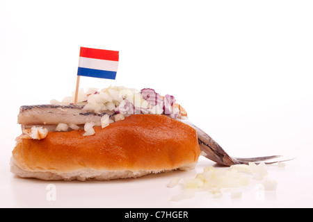 Typical Dutch salted herring called maatje or zoute haring Stock Photo