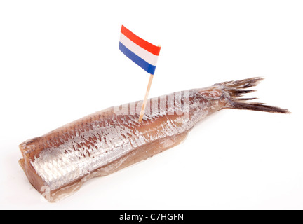 Typical Dutch salted herring called maatje or zoute haring Stock Photo