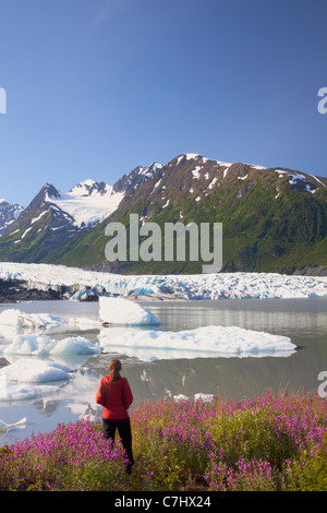 A hiker enjoys the wildflowers along the lake in front of Spencer Glacier, Chugach National Forest, Alaska. Stock Photo