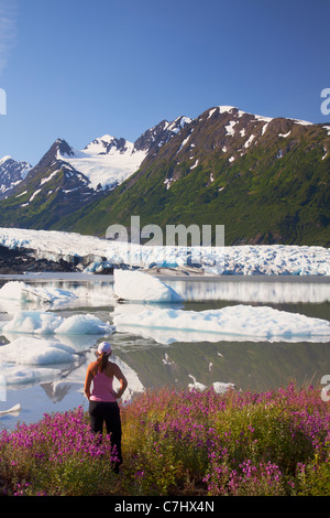 A hiker enjoys the wildflowers along the lake in front of Spencer Glacier, Chugach National Forest, Alaska. Stock Photo