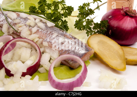 Typical Dutch salted herring called maatje or zoute haring Stock Photo