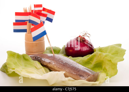 Typical Dutch salted herring called maatje or zoute haring Stock Photo