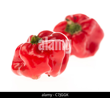 Home produced red capiscum bell peppers on a white backlit background Stock Photo