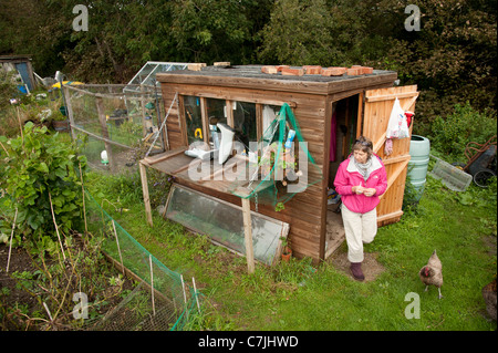 A middle aged woman on her allotment garden Aberystwyth Wales UK Stock Photo