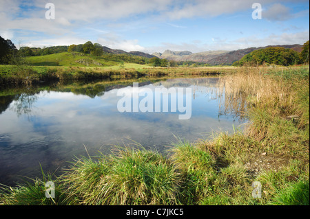 River with Langdale Pikes in the distance, Lake District, England, UK Stock Photo
