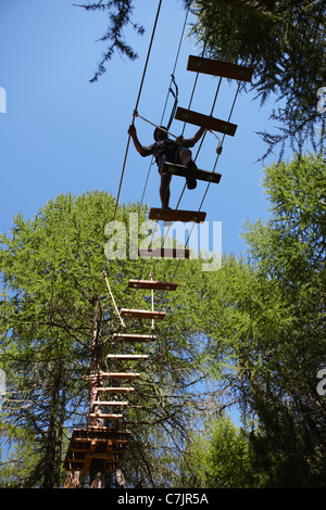 Person doing treetop obstacle course Stock Photo