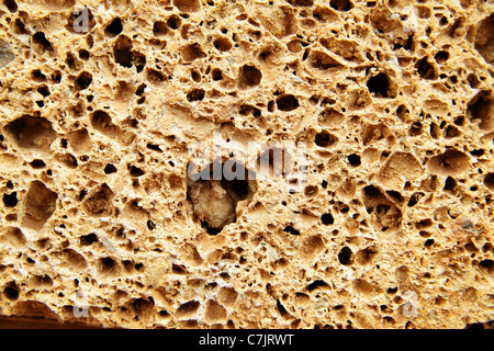 Porous stone texture close-up, may be used as background Stock Photo