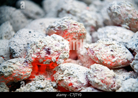 Embers in charcoal Stock Photo