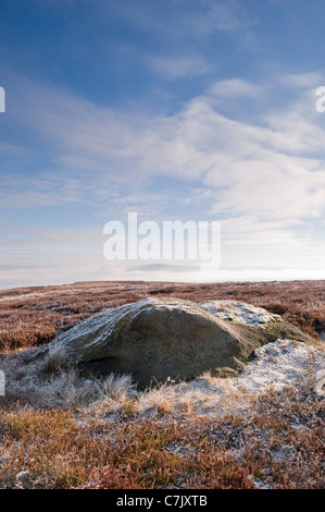 Scenic winter view high on moors (deserted upland landscape, large boulder, frost-covered heather plants, deep blue sky) - Burley Moor, Yorkshire, UK. Stock Photo