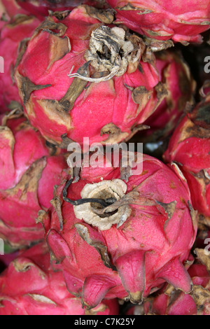 Red Pitaya Hylocereus undatus In Brastagi Market, Sumatra Stock Photo