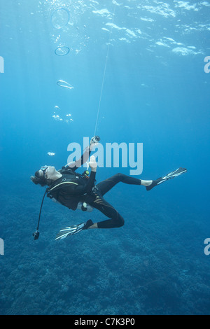 Diver swimming in ocean Stock Photo