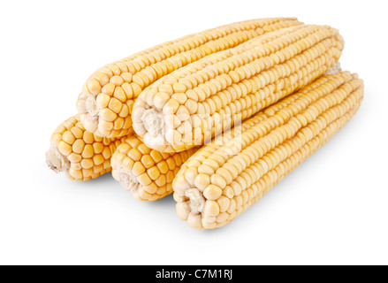 Fresh raw corn isolated on white background Stock Photo