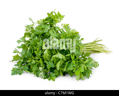 Bunch of parsley isolated on white background Stock Photo