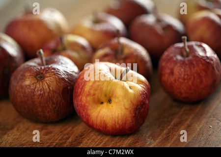 basket rotten apples Stock Photo - Alamy