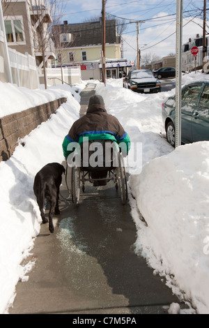 Woman with multiple sclerosis in a wheelchair with a service dog Stock Photo