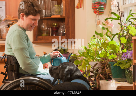 Woman with multiple sclerosis in a wheelchair watering houseplants with service dog watching her Stock Photo