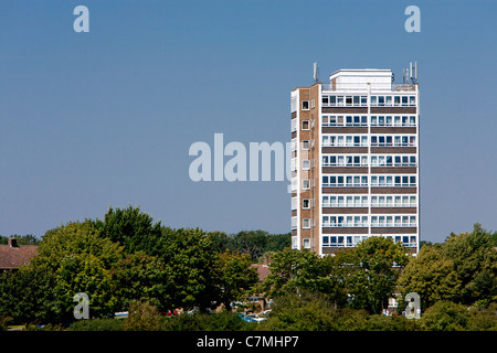 Tower block Harlow, Essex - Designed by Sir Frank Gibberd Stock Photo