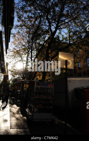 Portrait snack stall selling breakfast coffee donuts, towards morning sun shining autumn trees, East 60th Street, New York Stock Photo