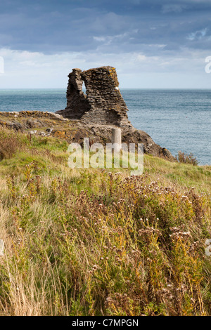 Ireland, Co Wicklow, Wicklow, Black Castle overlooking Irish Sea Stock Photo