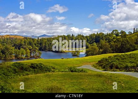Landscape shot of Tarn Howes Lake, near Keswick in the Lake District Stock Photo