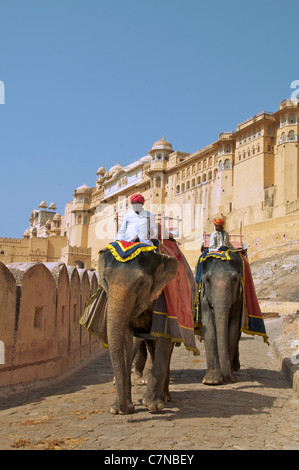 Elephants and mahouts Amber Palace Rajasthan India Stock Photo