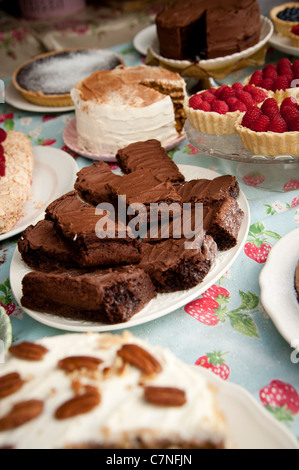 A stall selling local home-made chocolate cakes at Aberystwyth Food Fair, September 2011, Wales UK Stock Photo