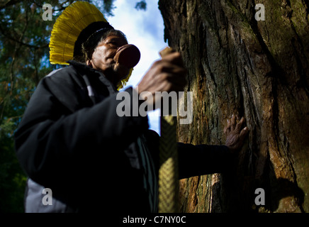 Indian Chief Raoni at Cheverny, the hand of the Indian Raoni affecting a Sequoia in the Park d of 'Chateau de Chiverny' Stock Photo