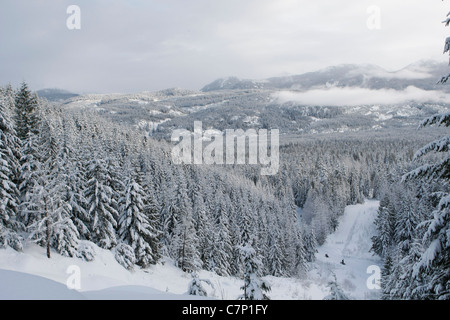 snowmobile tour in Whistler British Columbia Stock Photo