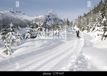 snowmobile tour in Whistler British Columbia Stock Photo