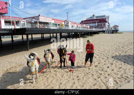 Donkeys on the beach Great Yarmouth pier Norfolk England Uk. Seaside resort donkey donkeys Stock Photo