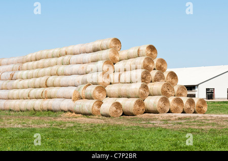 Alfalfa in round bales are stacked for storage at the edge of a farmyard in South Dakota. Stock Photo