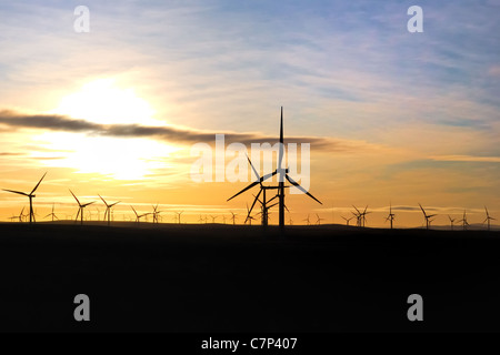 Sunrise at Whitelee Wind farm which is operated by Scottish Power Renewables and is the largest in the UK, on the outskirts of Glasgow, Scotland. Stock Photo