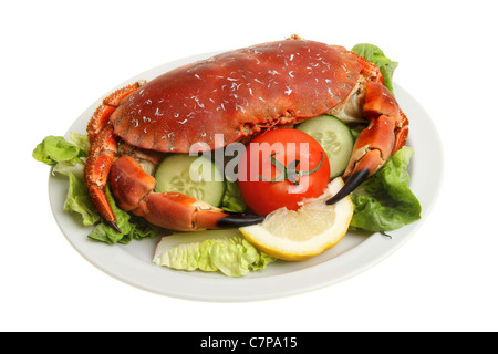 Cooked brown crab on a plate of salad isolated against white Stock Photo