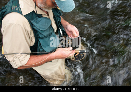 Fly fisherman holding fly box in river Stock Photo