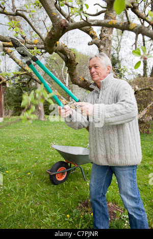 Older man trimming tree in backyard Stock Photo